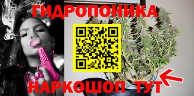 сатива Лесосибирск