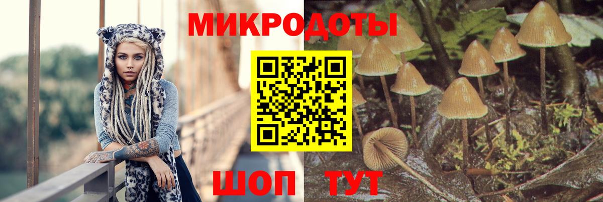 Псилоцибиновые грибы Psilocybe  Вход с VPN  Галлюциногенные грибы прущие грибы  Гусь-Хрустальный 